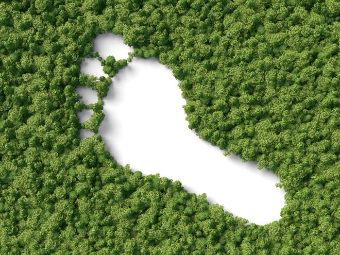 Footprint