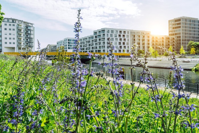 Plants In Front Of Buildings