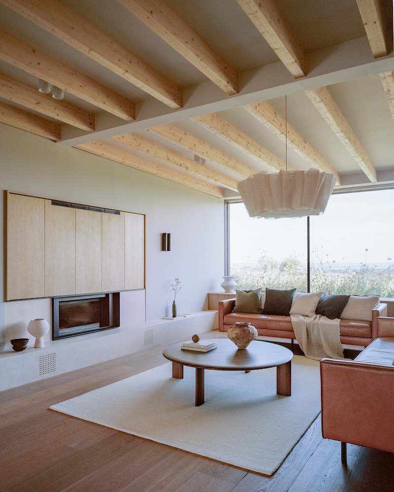 Contemporary Living Room and fireplace