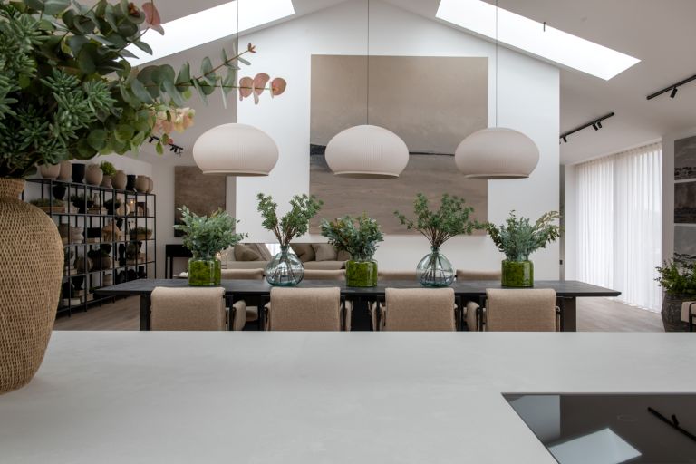 Living and Kitchen Area
