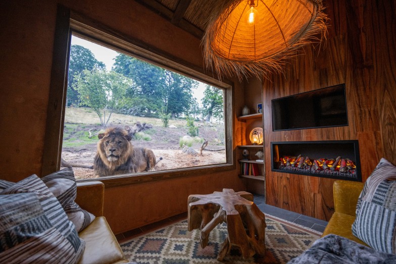 Living Area Overlooking Lions