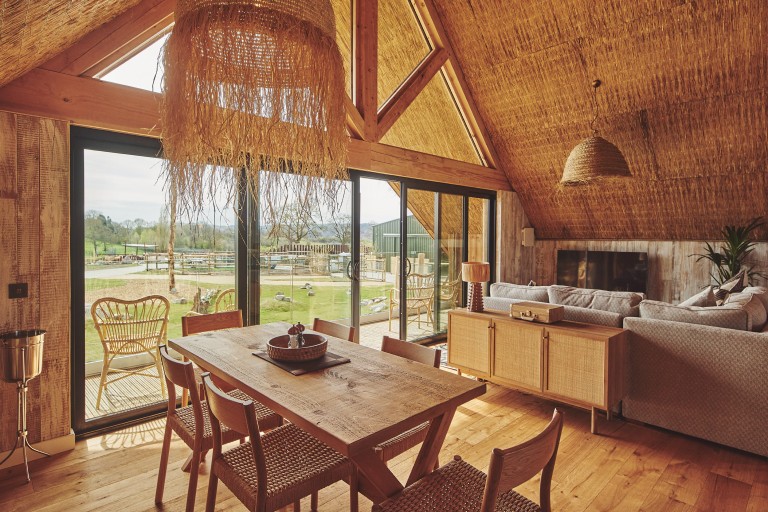 Giraffe Living Area