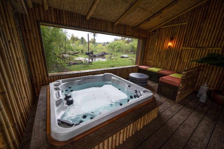 Tiger Lodge Hot Tub