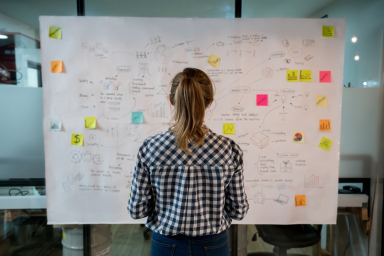 Woman Looks At Marketing Plan