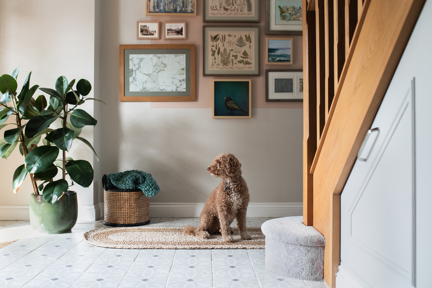 A calming entryway with some nods to the bolder colours to come