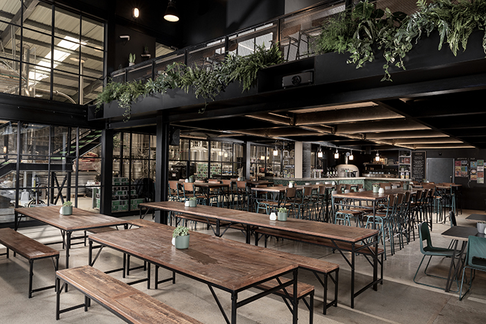 Verdant Brewing Co