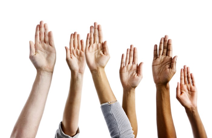 half a dozen raised hands