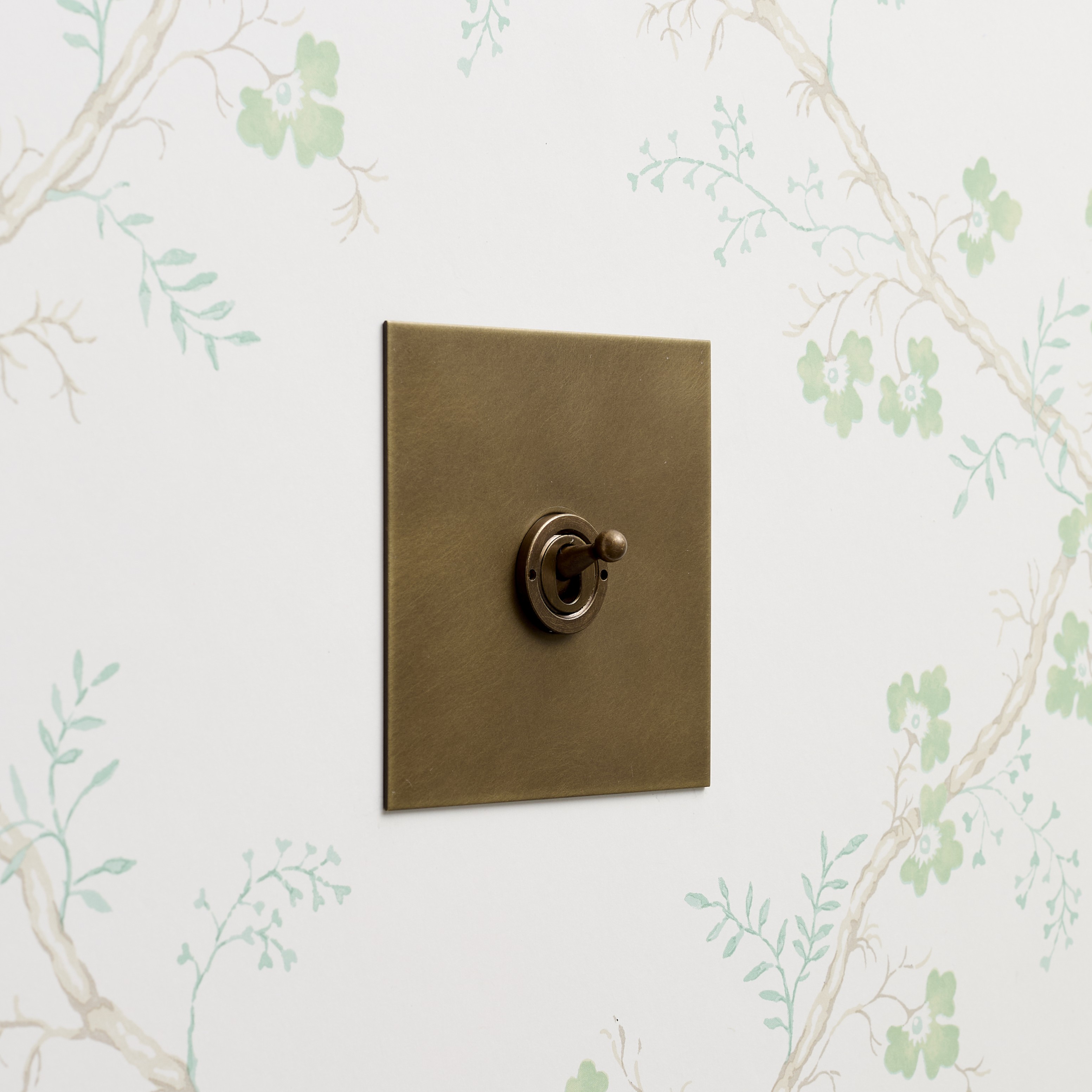 1 Gang Dolly Switch in Matte Brass