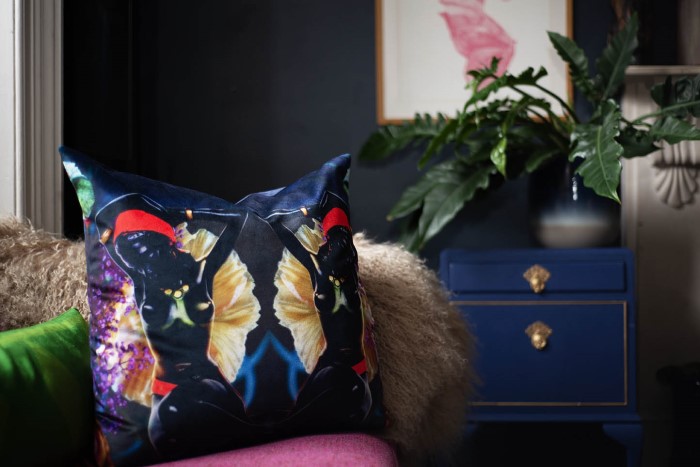 Cushion