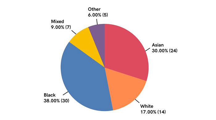 Q 18 Race Breakdown Chart