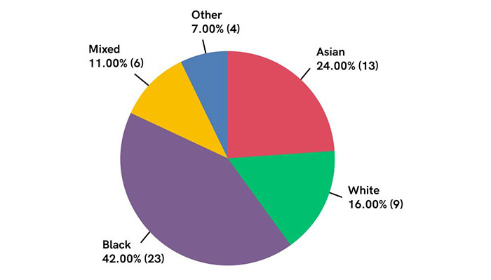 Q20 Race Breakdown