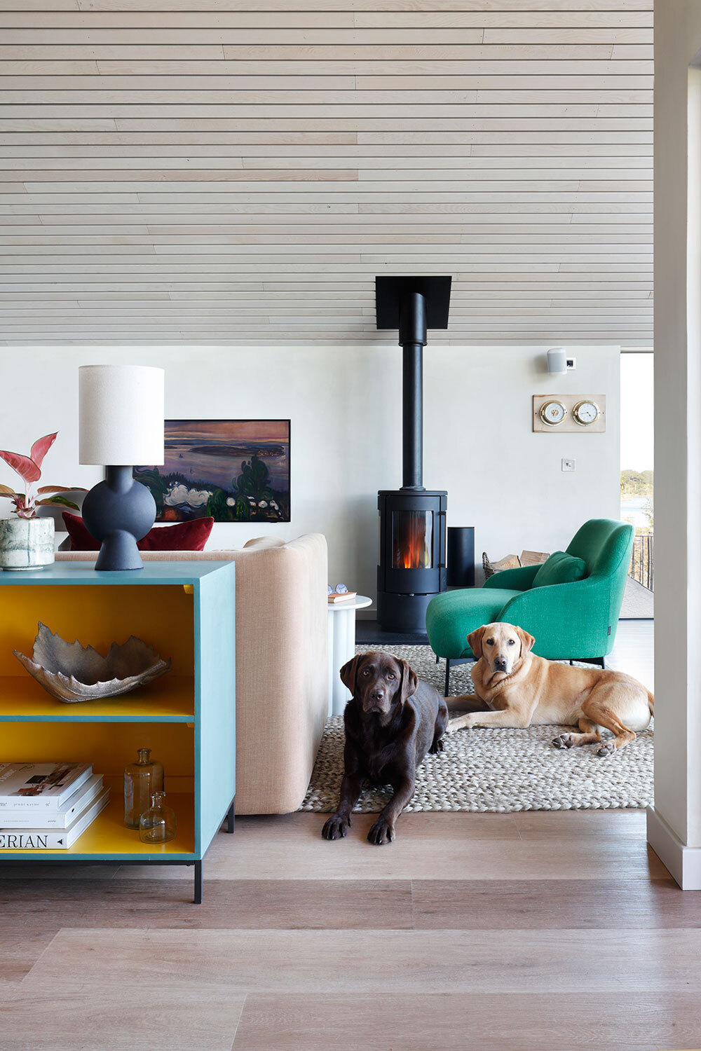 Dogs infront of log burner