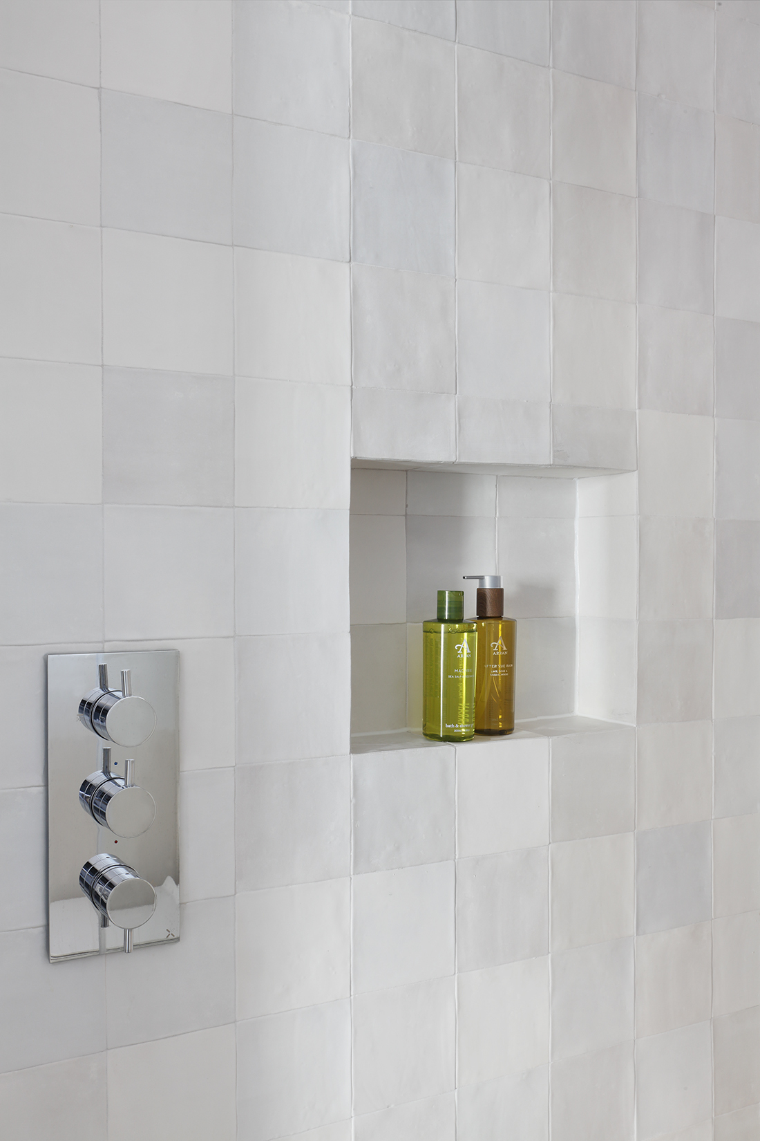 Shower with shelf
