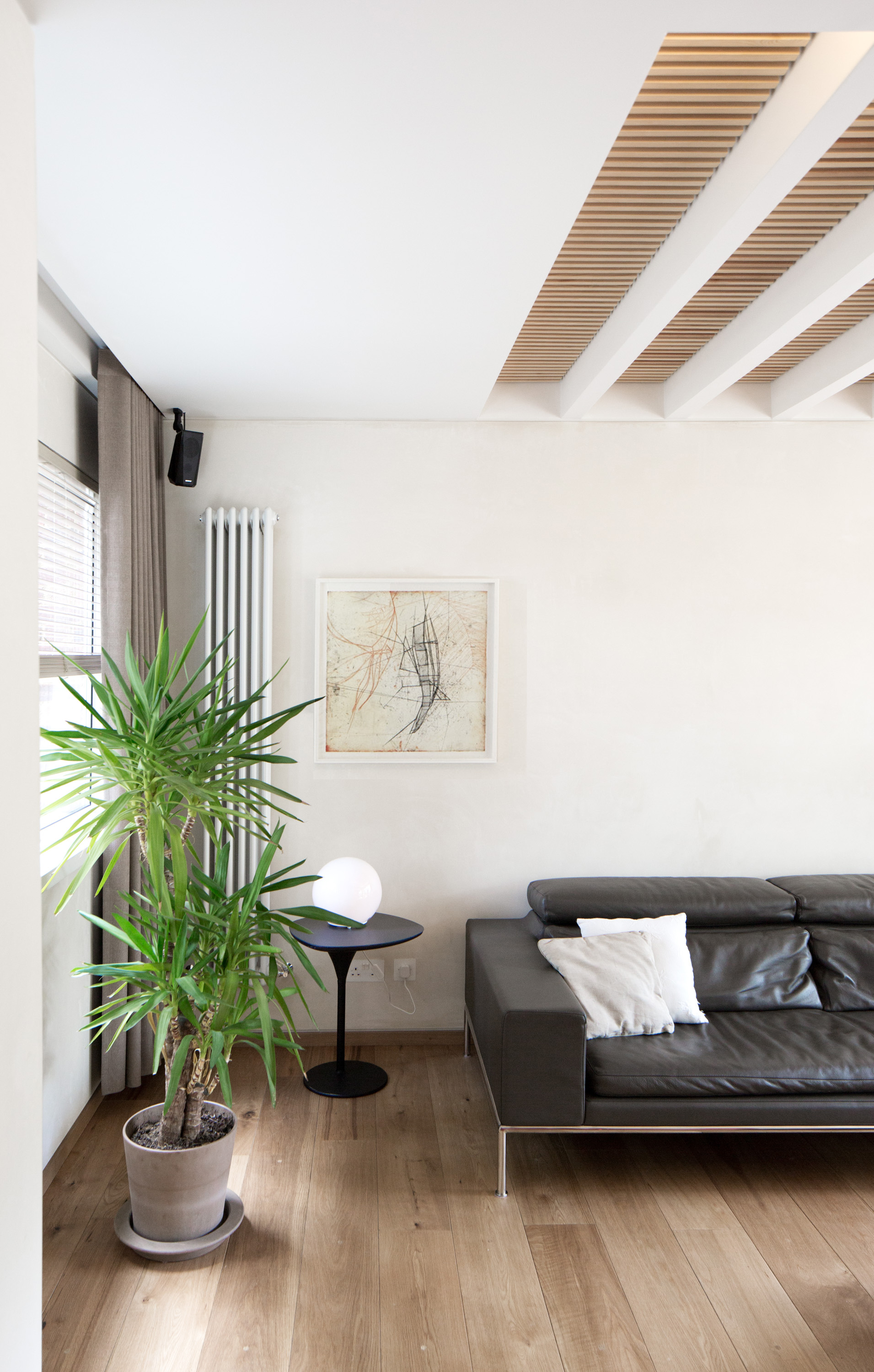 Zehnder rad leather sofa and indoor plant art kunst
