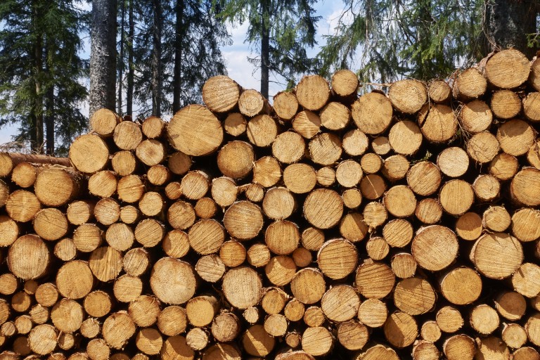 New Resource: Sustainable Sourcing Of Timber And Paper | British ...