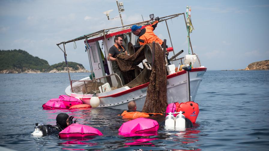 Healthy Seas divers retrieving abandoned nets