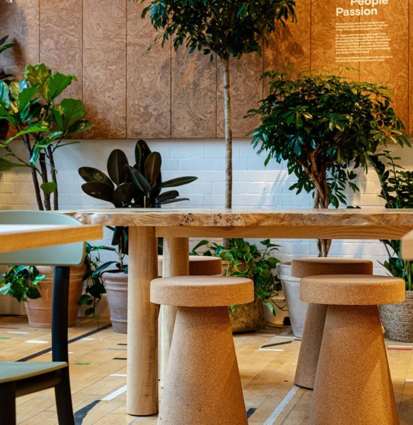 Cafe interior