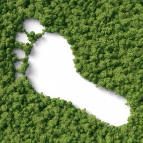Your practice’s carbon footprint – how to assess it