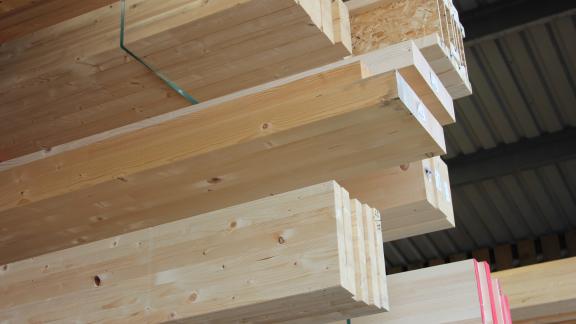 Procuring Sustainable Timber Image
